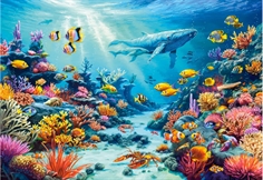 Coral Village