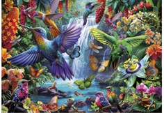 Tropical Hummingbirds
