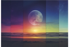 Cosmic Phases