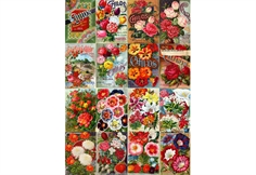 Vintage Flower Seed Catalog Collage