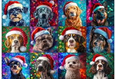 Santa Dogs