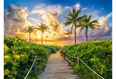 Färgglad soluppgång i Miami, USA