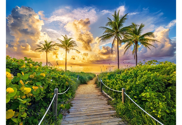 Färgglad soluppgång i Miami, USA