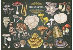 Finders Keepers: Mushrooms
