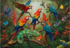 Tropical Harmony